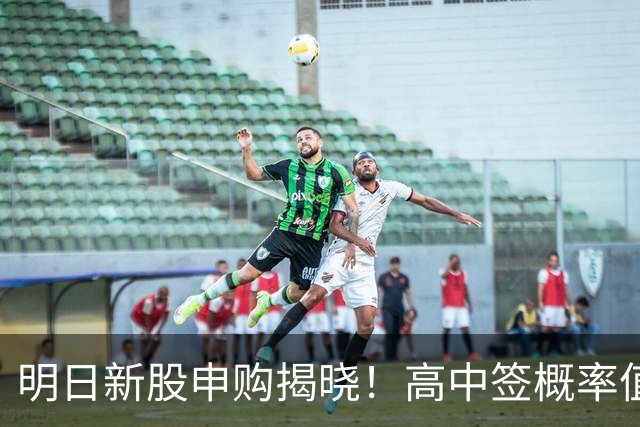 明日新股申购揭晓！高中签概率值得期待